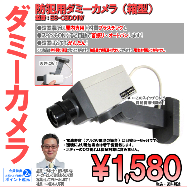 ダミーカメラ・防犯用・筒型|屋外・屋内両用(壁面設置)・点滅LED付|ブラック|ES-CWD05B