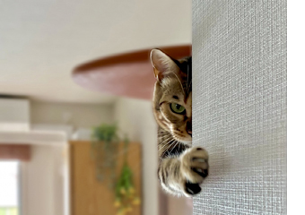カードの防犯カメラの録画時間はどれくらい?4